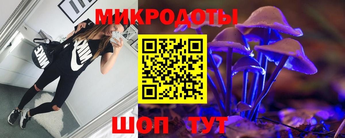 Псилоцибиновые грибы Psilocybe Аксай